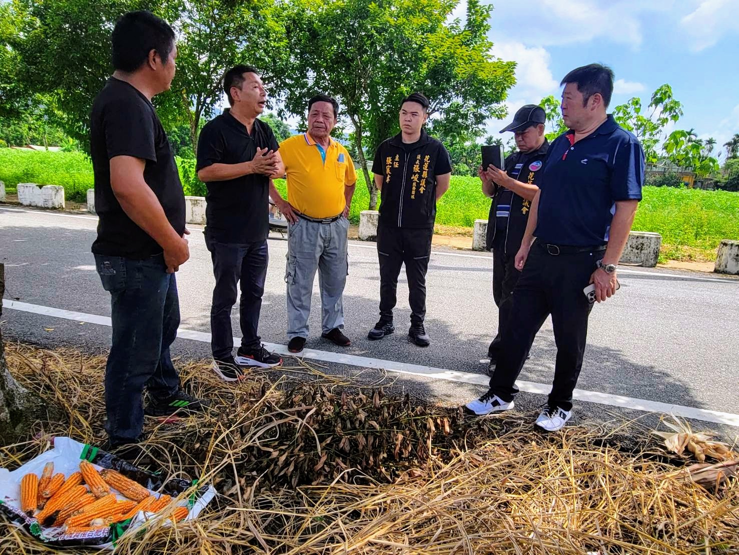 【中區硬質玉米豪雨潮濕發芽 張峻關心受災農民會勘協調後 農業天然災害救助啟動】