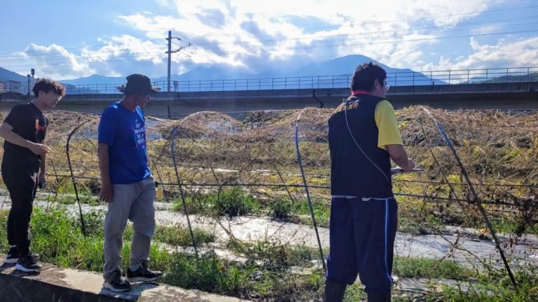 【天兔颱風將影響台灣 花蓮縣政府籲請農友加強防颱措施並注意自身安全】缩略图