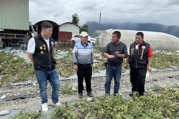 【極端氣候導致中區瓜農損失慘重 200公頃西瓜田盡皆裂果不忍卒睹 張峻議長走進西瓜田為瓜農請命】