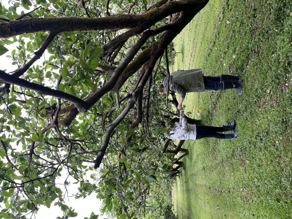 【花蓮縣政府辦理文旦柚教育訓練及集貨包裝場認證評鑑 從產地到包裝全面把關 強化內外銷品質管理與市場競爭力】插图