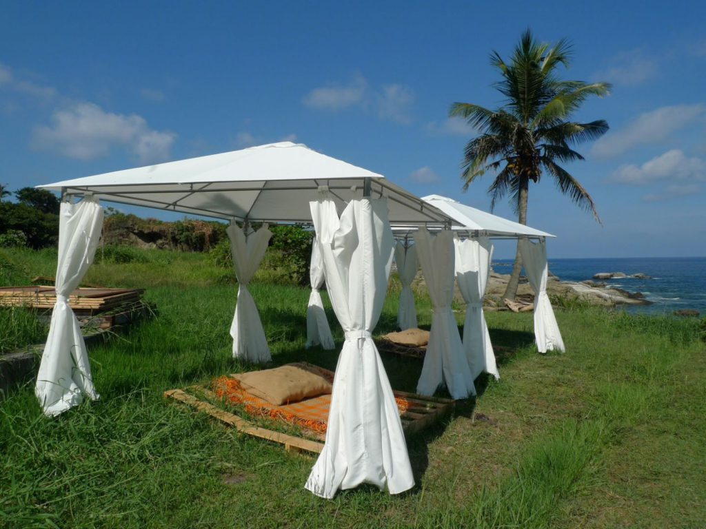 【挺過寒冬 花蓮準備好了》縣府攜手觀光業推動轉型 春節邀國人見證韌性之美】插图6 【挺過寒冬 花蓮準備好了》縣府攜手觀光業推動轉型 春節邀國人見證韌性之美】插图6