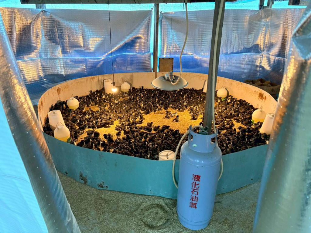 【大陸冷氣團來襲 花蓮縣政府籲請農友加強防寒措施並注意保暖】插图1