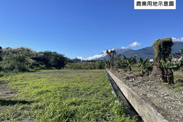 【遭法院強制執行拍賣之土地 可於期限內申請減免土地增值稅】缩略图