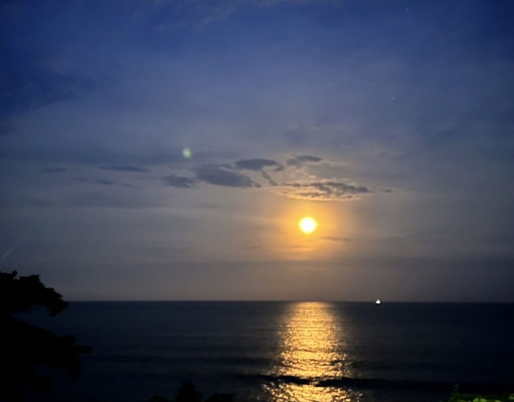 【挺過寒冬 花蓮準備好了》縣府攜手觀光業推動轉型 春節邀國人見證韌性之美】插图5 【挺過寒冬 花蓮準備好了》縣府攜手觀光業推動轉型 春節邀國人見證韌性之美】插图5