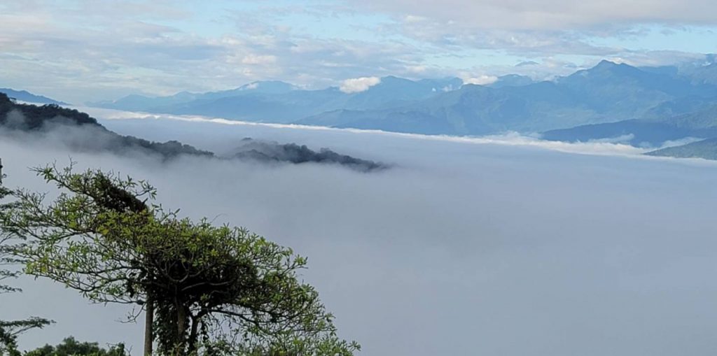 【花蓮露營產業再升級　第5家合法露營場誕生 山海星空作伴 壽豐「觀星居」合法啟航】插图2