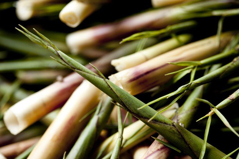 【走進花蓮感受春天 串聯賞螢、生態旅遊與農村文化體驗】插图1