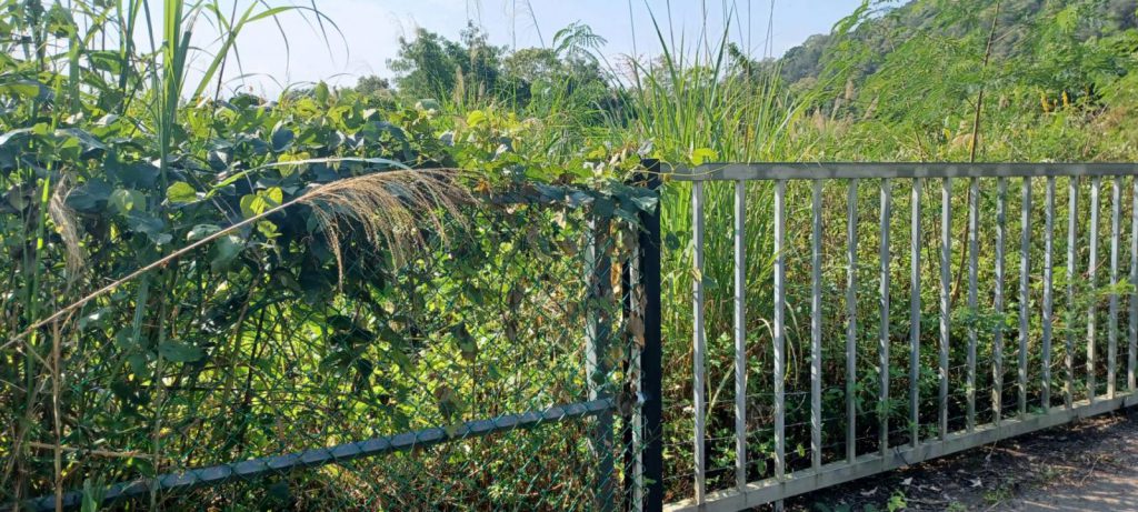 【會勘拍板解決沉痾》傅崐萁協調中央 光復、富里建設與安全雙到位】插图1 【會勘拍板解決沉痾》傅崐萁協調中央 光復、富里建設與安全雙到位】插图1