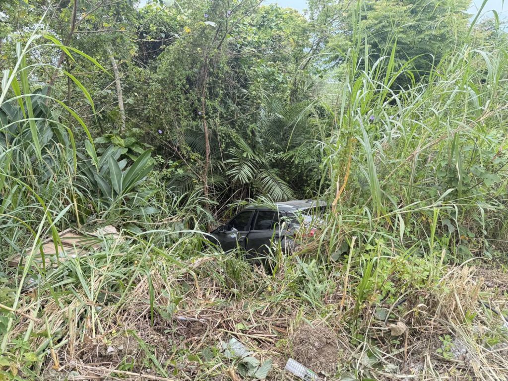 【​驚險！自小客滑落鸞山邊坡 鹿野警義消偕在地議員「長背板接力」火速救援】插图1