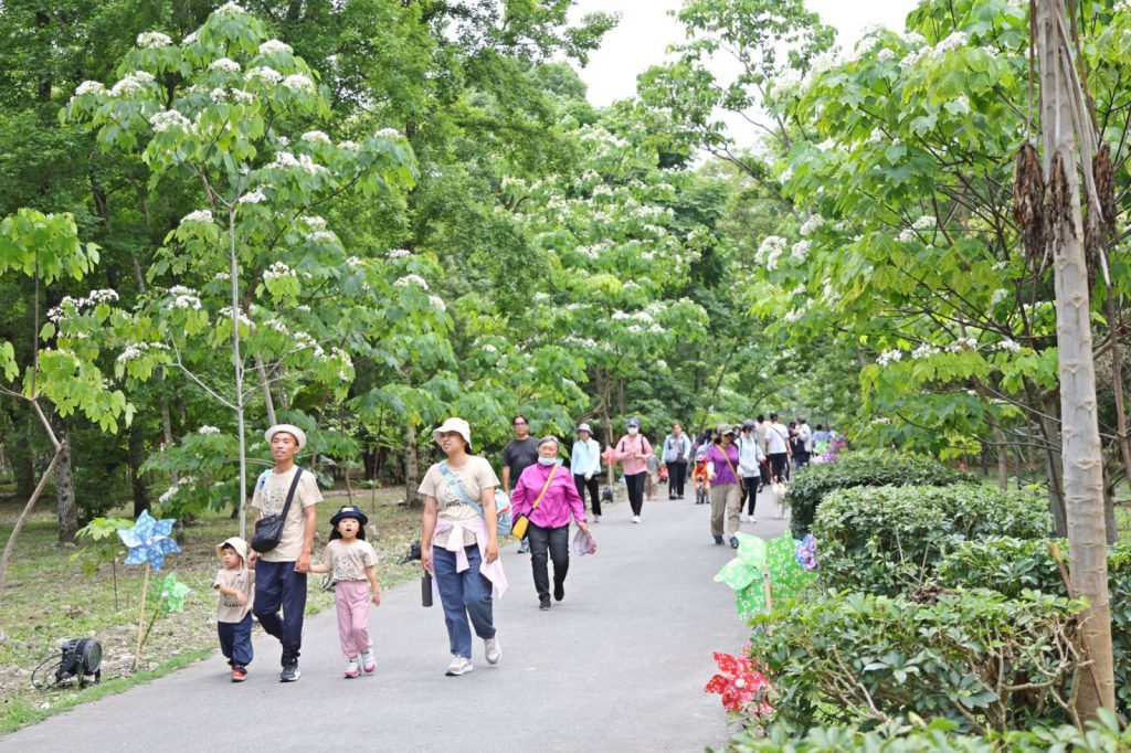 【吉安桐花祭單日吸引三千遊客「賞桐趣」 游淑貞伴全國老幼鄉親漫遊客庄風情】插图3