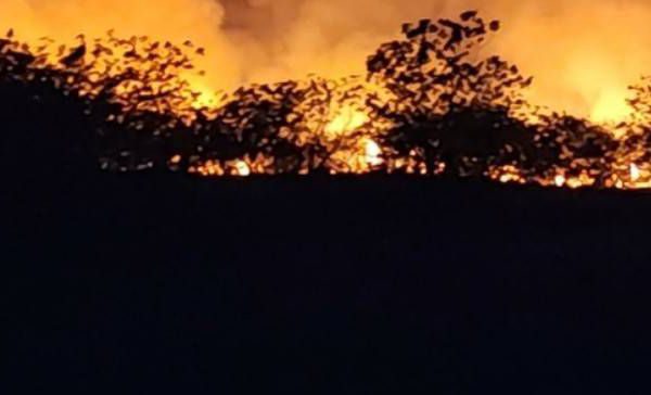 【台東知本溼地再傳火災 火燒面積逐漸擴大】缩略图