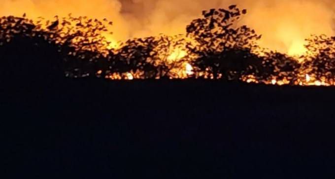 【台東知本溼地再傳火災 火燒面積逐漸擴大】缩略图