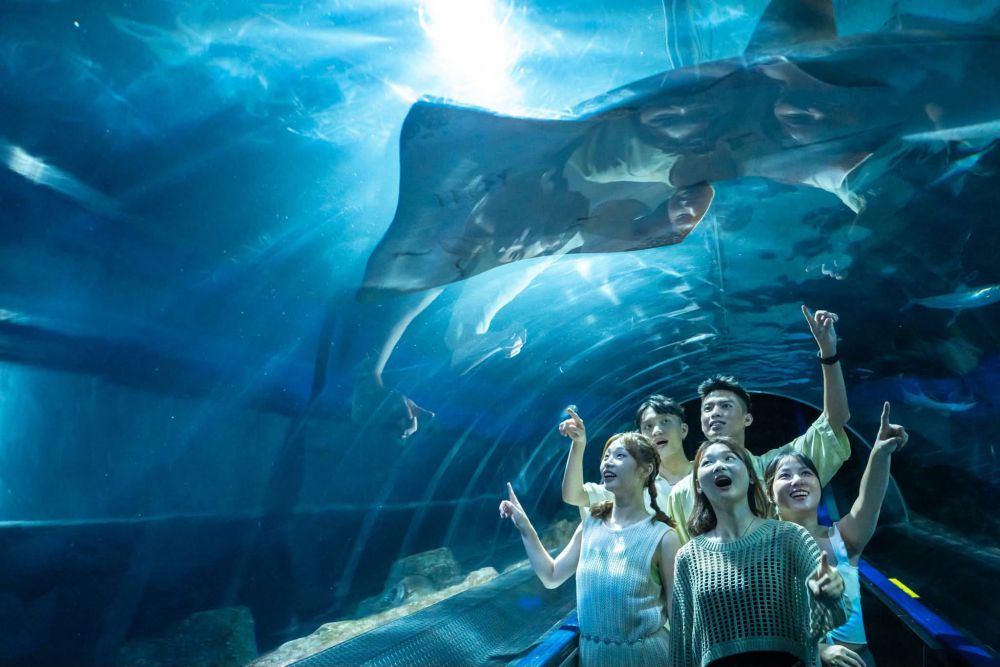 【玩遍花蓮山海風景只要$990 海洋公園攜手理想PAARK水岸生活打造一日雙景點旅行提案】插图