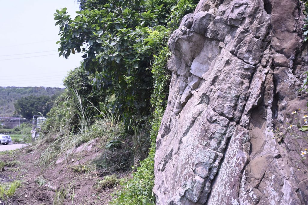【富里鄉復興橋、農花富230農路將開工徐榛蔚縣長親赴富里視察】插图1 【富里鄉復興橋、農花富230農路將開工徐榛蔚縣長親赴富里視察】插图1