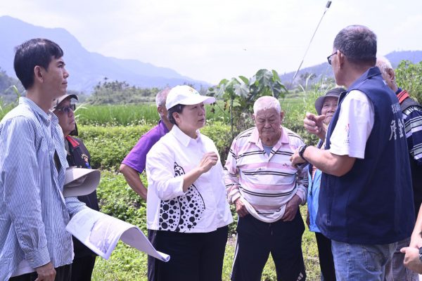 【富里鄉復興橋、農花富230農路將開工徐榛蔚縣長親赴富里視察】缩略图