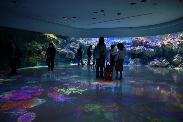 深化海洋保育與環境教育　花蓮縣政府赴 Xpark 觀摩水生展示與科普推廣缩略图