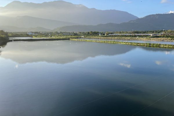 「台灣之光！花蓮立川漁場以「黃金蜆」擦亮國際外銷名片」缩略图
