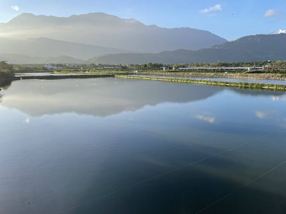 「台灣之光！花蓮立川漁場以「黃金蜆」擦亮國際外銷名片」缩略图